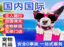 奔牛航空货运国际宠物托运 【国